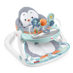 Fisher price sit me 2024 up with toy tray