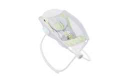 Fisher price deluxe newborn auto rock n play online