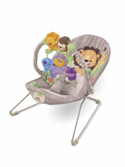 Fisher price precious store planet bouncer recall